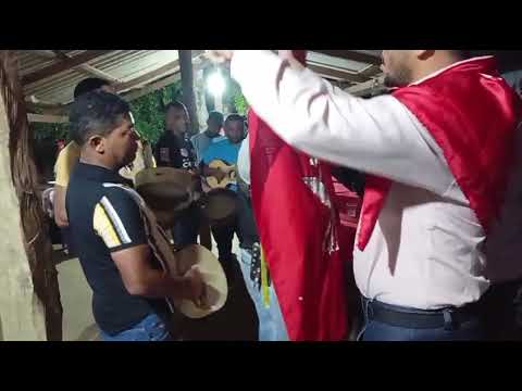 Folia em Monte do Carmo do Tocantins.