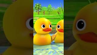 Counting Duck Song 🦆🔢 #LBB #Short #Ducks
