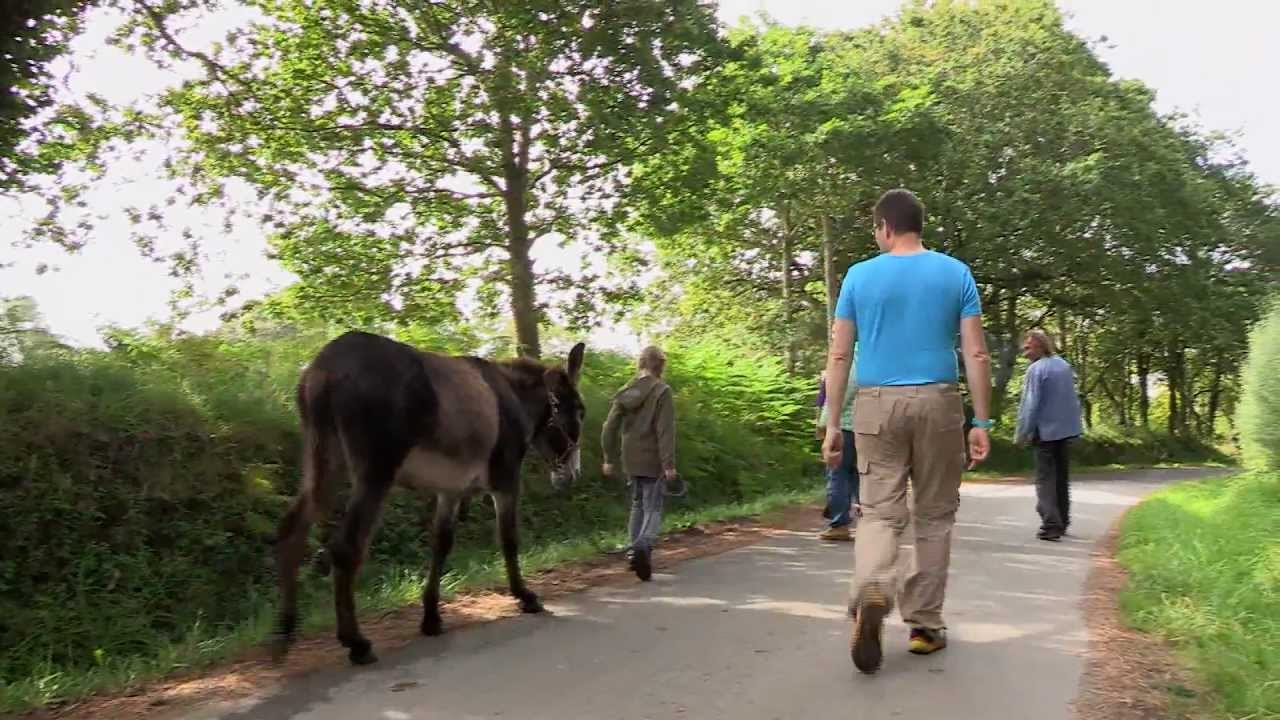 Rando à dos d'âne en Presqu'île de Crozon