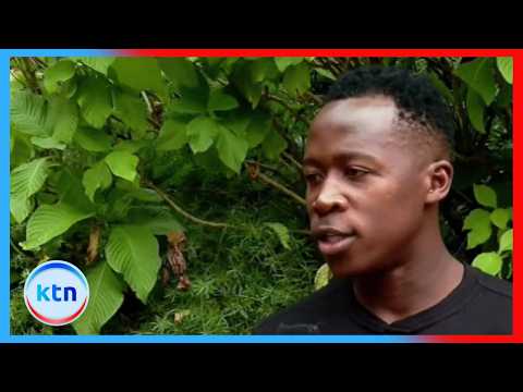 Kibwage confident Kenya’s AFCON 2027 preparations are on the right track