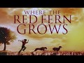 Where the Red Fern Grows - Trailer