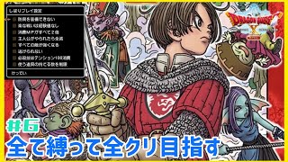 いつになったら全縛りが効いてくるのか分からん。キーエンブレム５つ目！！ジュレット編【ドラゴンクエストⅩ 目覚めし五つの種族　オフライン】#6