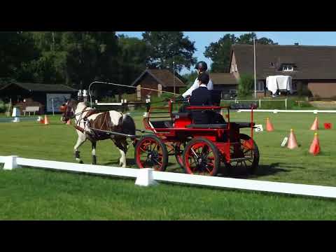 Fahrturnier Dörenthe 12.6.2022