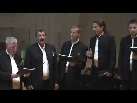 Puče moj 2014: Pučki pivači Tugare - Odbacimo grije