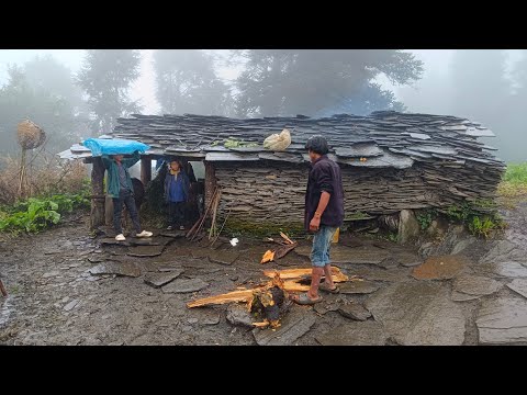 Surviving Life in the Nepali Mountains During the Rainy Season | Heavy Rainfall in Jiree Village |