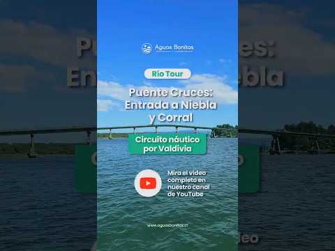 Río Tour | Puente Cruces Valdivia
