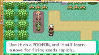 Pokemon Emerald Unown Apocalypse Edition-Woods of The Nearby Area