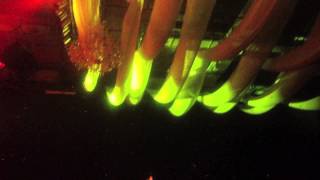 MUTEMATH &quot;Equals&quot; LIVE