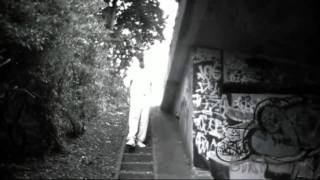 Survival - Mr Majestic