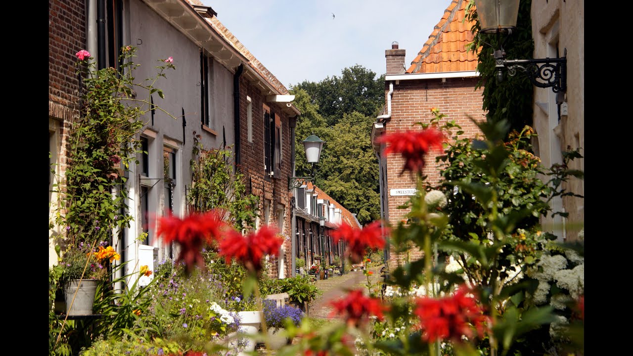 Live webcam view of Elburg Historic Town Street
