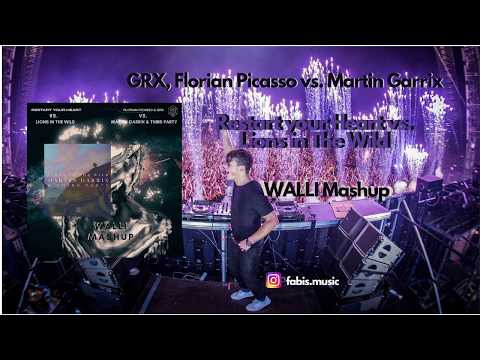 GRX, Florian Picasso vs. Martin Garrix - Restart your Heart vs. Lions in The Wild (WALLI Mashup)