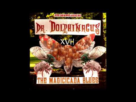 Dr. Dolphinacus - The Magicicada Blues (FREE DOWNLOAD)