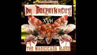 Dr. Dolphinacus - The Magicicada Blues (FREE DOWNLOAD)