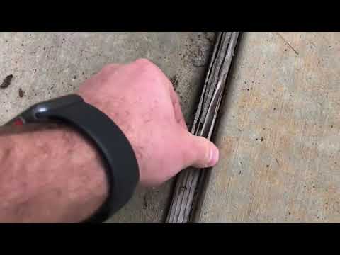 Scoping Out Termites - Quick Minute