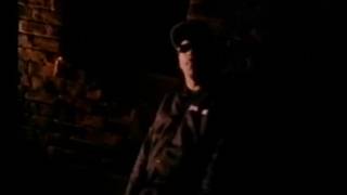 Ice T   Pulse of the Rhyme