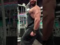 Monster Triceps (June Update)
