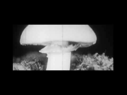 Maesus - Continue (Official Music Video)