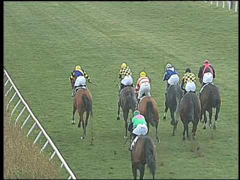 Galoppo 04/02/2017 - 2ª corsa