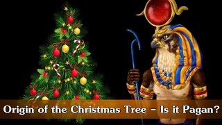 Video: Origin of the Christmas Tree - Is it Pagan?