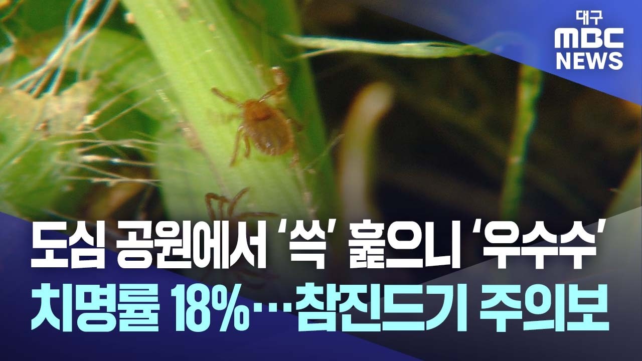 공원에 득실거리는 '살인진드기', 야외 활동 주의보