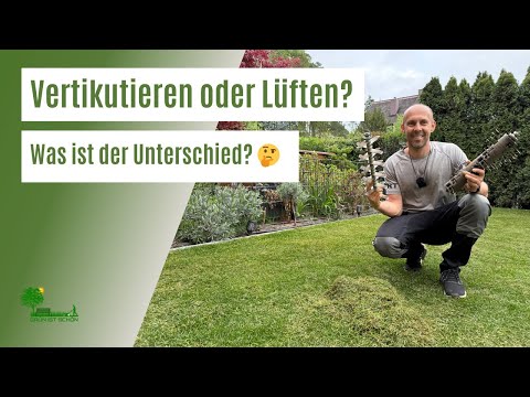 Scarify or aerate? How to tell what your lawn needs | Lawn care in spring | Tips