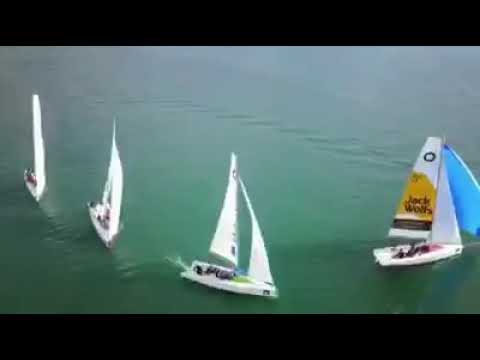 Trailer Sailbox-Cup
