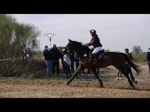 CCETOES 2020 Núria Lladonosa & Icaro LB