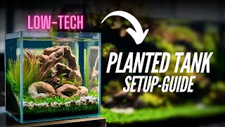 How to setup✅your LOW-TECH planted aquarium |(diy)tank making |tank set-up🐟 |aquascape detail guide.