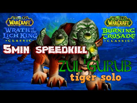 🐅HOW TO ZG TIGER BOSS SOLO WOTLK CLASSIC AFFLICTION WARLOCK🚀