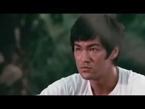 Van Damme and Bruce Lee