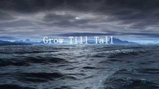 Grow Till Tall - Jónsi (English and Spanish lyrics) (Subtitulado en español e inglés)