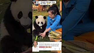 Download lagu Ternyata Gun-gun Takut Ulat Bulu 🤪❗ kastim90 #funnypanda #shorts mp3