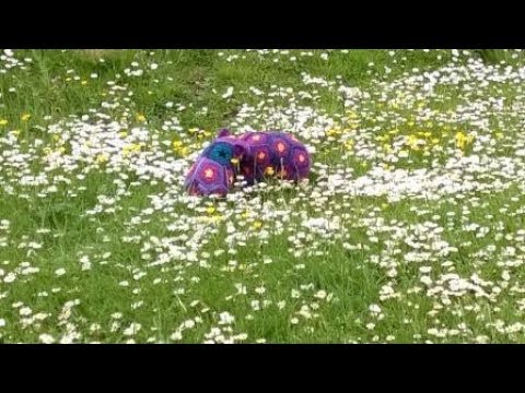 Knitting with Nele; Episode 17, With Slight Hay Fever