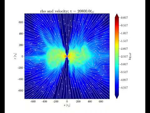 Accretion flow around supermassive black holes - Simulation test 2023