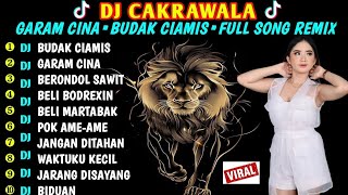 Download lagu DJ GARAM CINA X BUDAK CIAMIS FULL ALBUM REMIX mp3