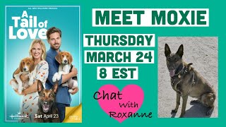 Meet Moxie from A Tail of Love video