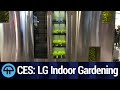 LG S Indoor Gardening Home Appliance At CES 2020