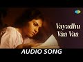Vayadhu Vaa Vaa Audio Song Thulluvadho Ilamai Dhanush Shirin Yuvan Shankar Raja