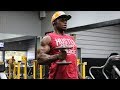 Gain Certified Arm Workout!!! Build Bigger Biceps & Triceps!!!
