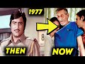 Amar Akbar Anthony 1977 2023 Movie Casts Then And Now