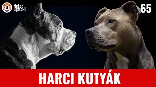 Tényleg nehezebb egy 'HARCI KUTYÁVAL'? | #65