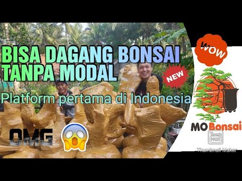 , title : 'APLIKASI DAGANG BONSAI TANPA MODAL || MO Bonsai Indonesia'