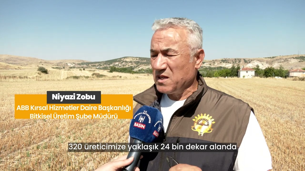 2025-2026 YILI ÜRETİM SEZONUNDA 1200 TORBA KANOLA TOHUMU 24 BİN DEKAR ALANDA TOPRAKLA BULUŞTU