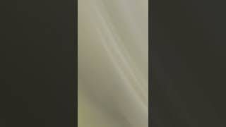 Download lagu Sarah Azhari emosi anaknya dikirim foto panas dirinya #shorts mp3