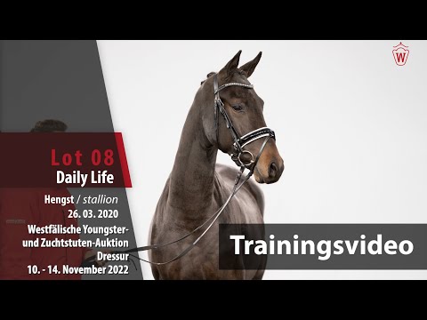 Online-Auktion Trainingsvideo Lot 08 Daily Life Hengst v. Despacito - Fifty Cent