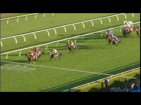 2014 QUEEN ELIZABETH STAKES G1 (AUS)