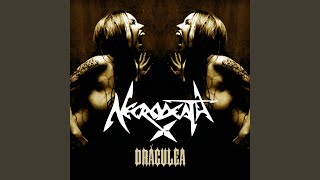 Fragments of Insanity