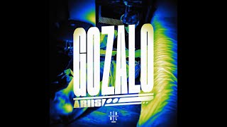 Cover art for GOZALO