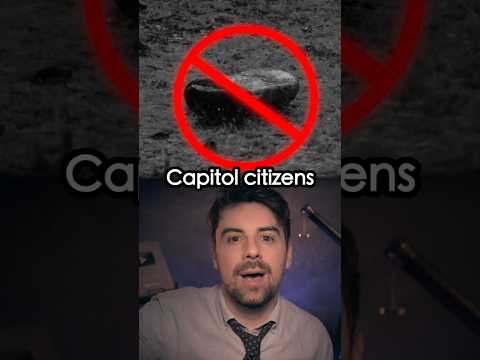 The Dark Days of Panem Explained