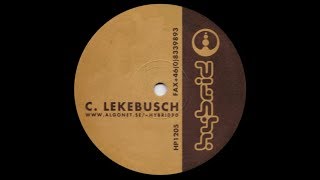 Cari Lekebusch - Untitled ( Split - B2 )